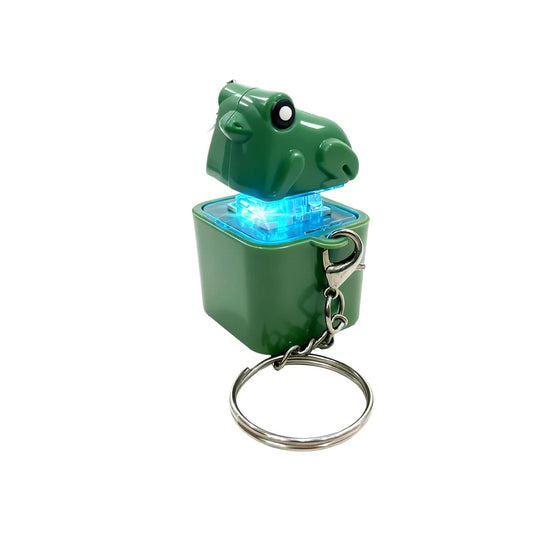 Frog Light-Up Keychain with Sound