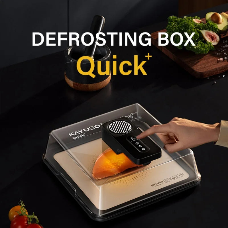 Rapid Defrosting Box with Plasma Technology